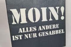 Moin-23