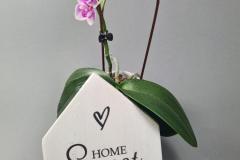 Home-sweet-Home