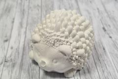 kl.Igel_