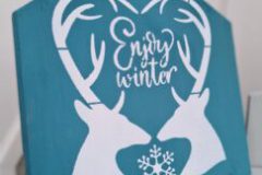 Enjoy-winter